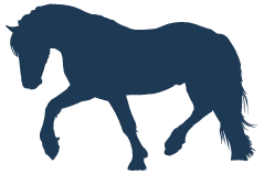 icon koně česky