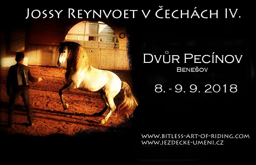 Jossy Reynvoet v Čechách IV.