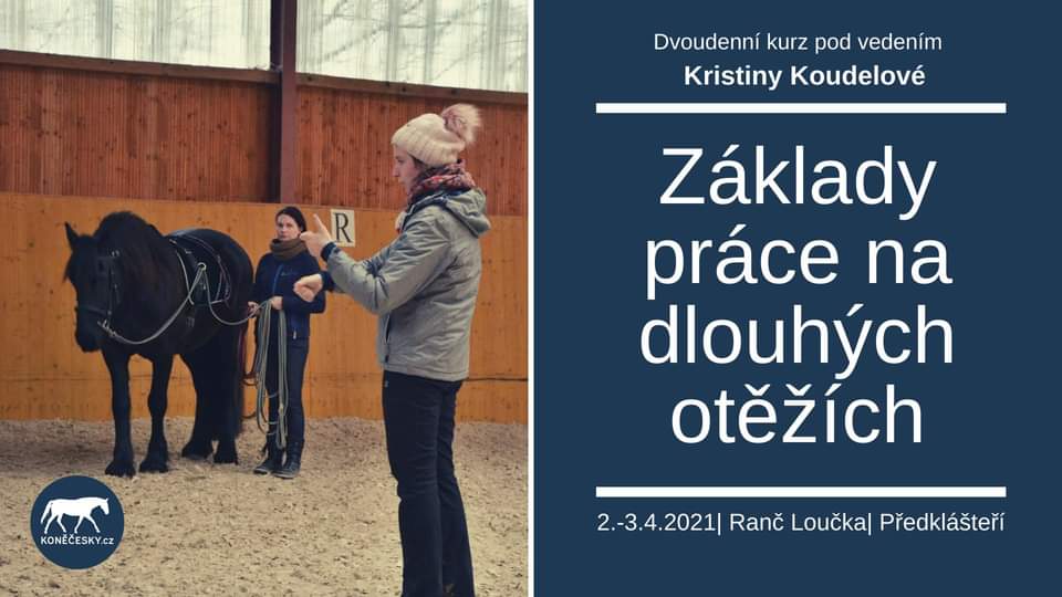 Práce na dlouhých otěžích I.