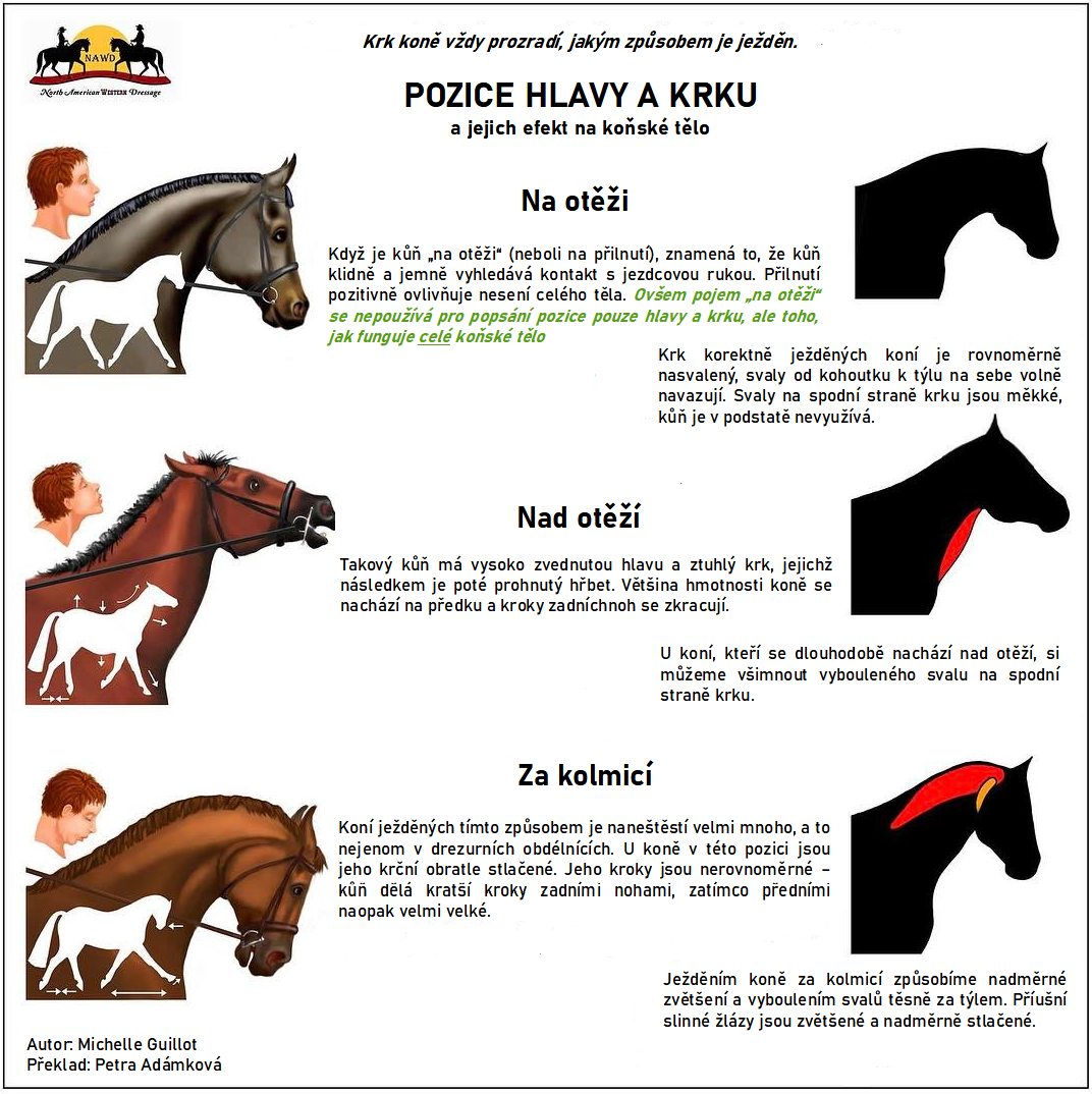 koně česky